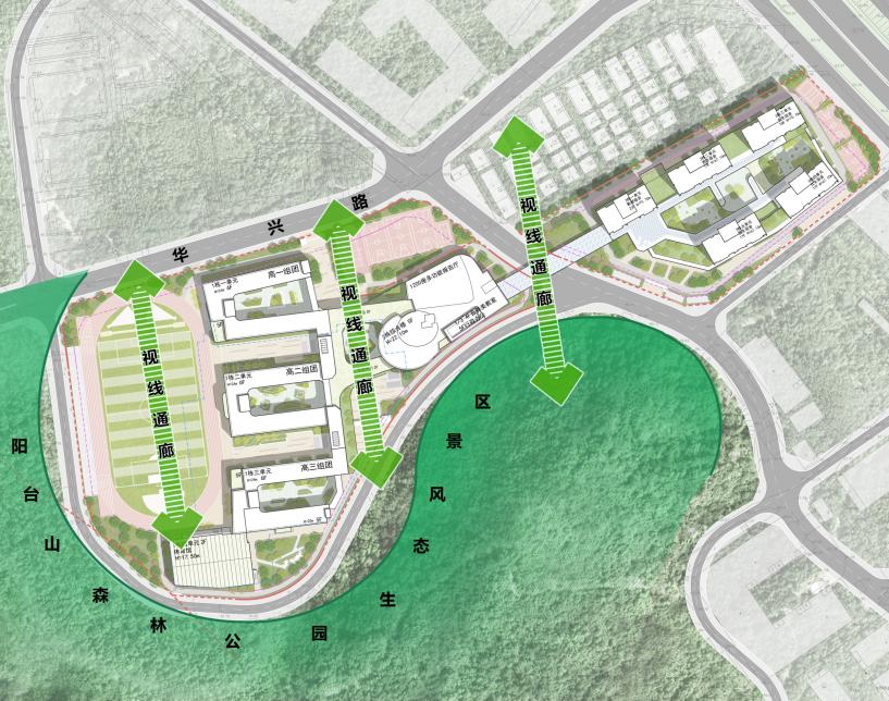 打造学生健康快乐成长的“林中学堂”，这所深圳高中做到了！