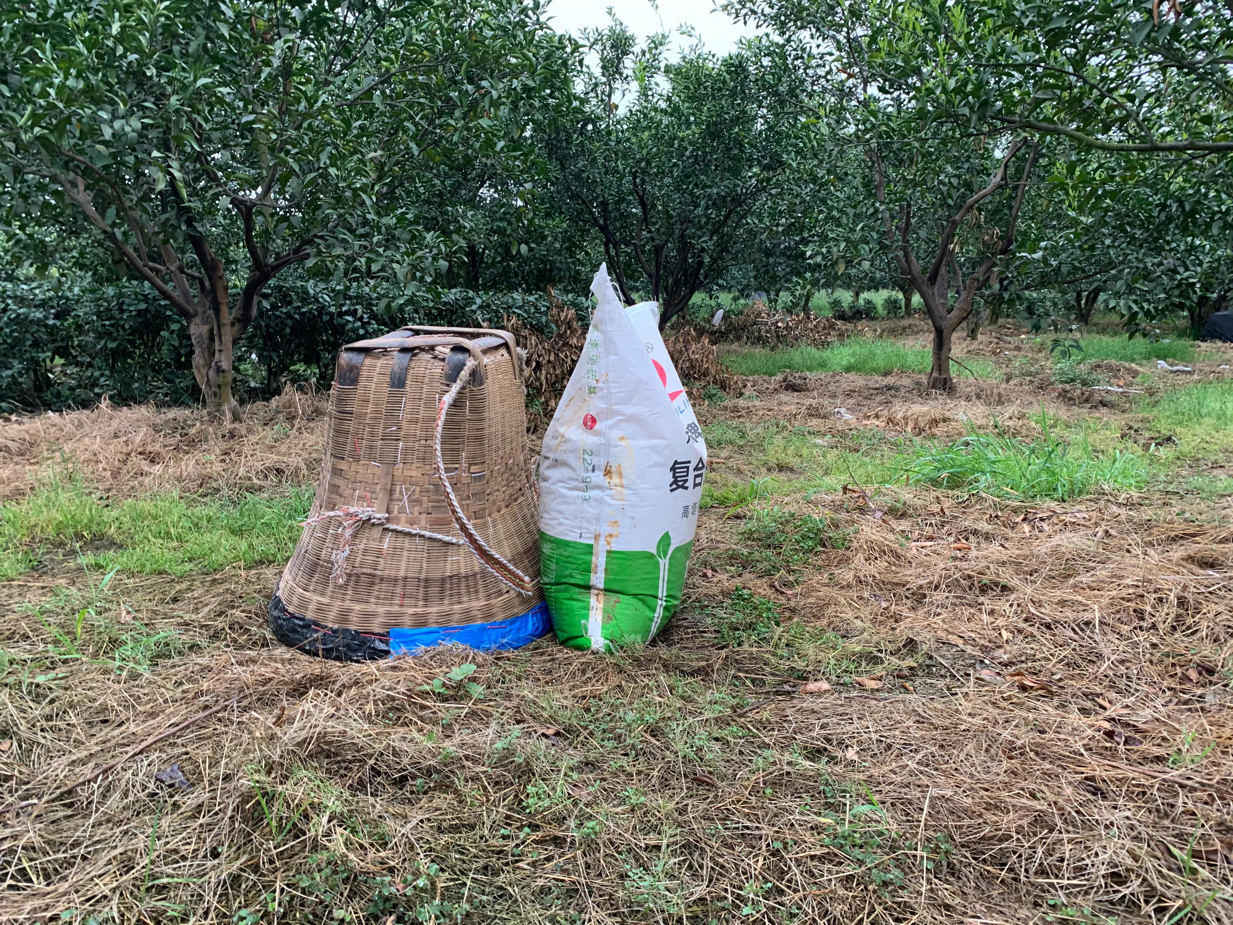 柑橘树脂病防治,柑橘树脂病最有效的杀菌剂