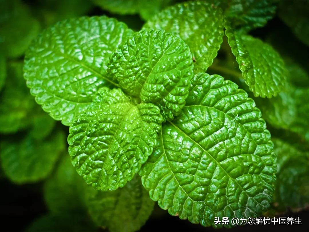 小儿大便绿色稀便是怎么回事,小儿发热且大便稀怎么回事