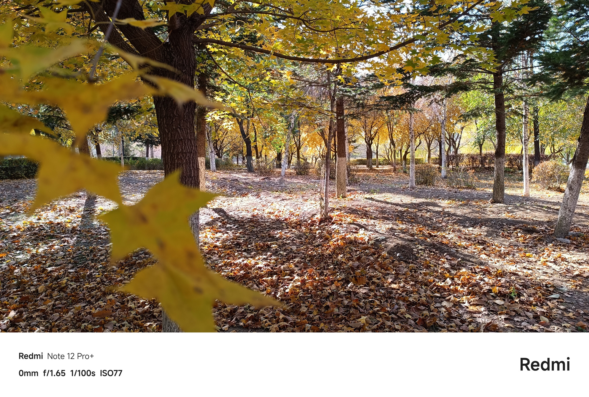 红米redminote12Tpro值得买吗,红米RedmiNote12Pro评测