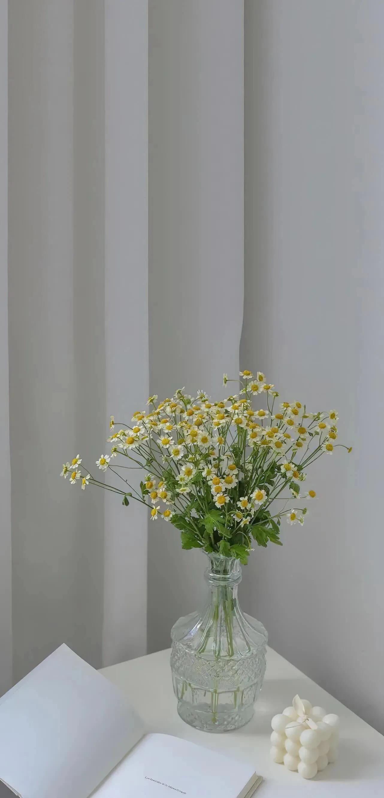 小说部落村庄,萤之光小说