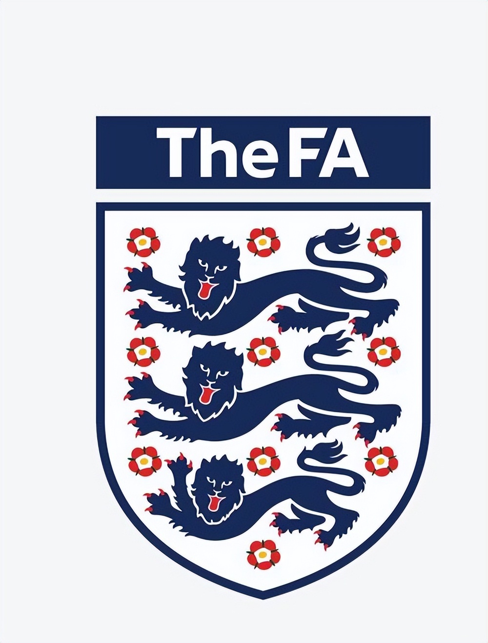 威尔士为什么可以打欧洲杯,威尔士和英格兰是一个国家吗