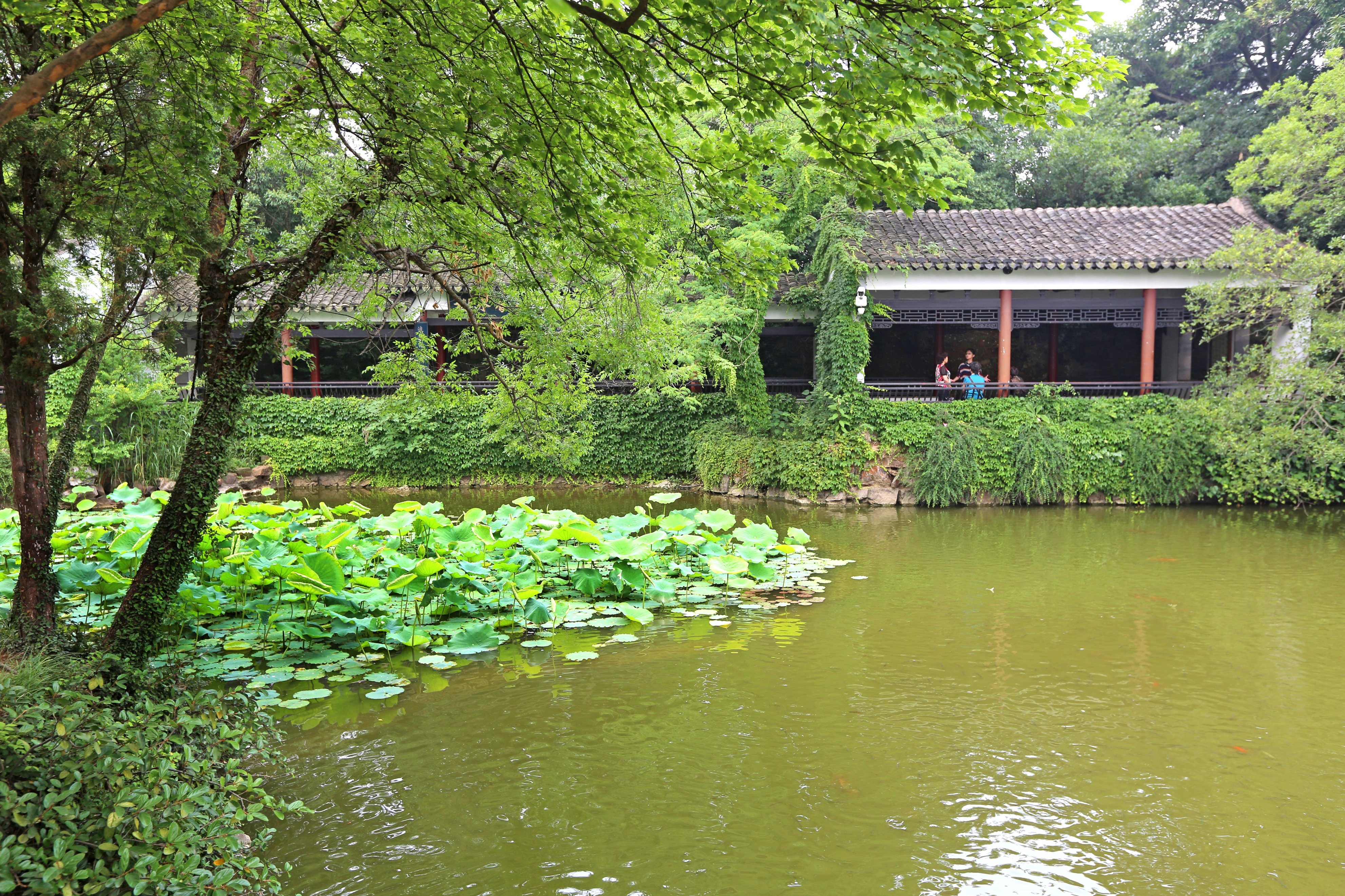 无锡十大最美古镇景点排名榜,无锡江南水乡旅游攻略