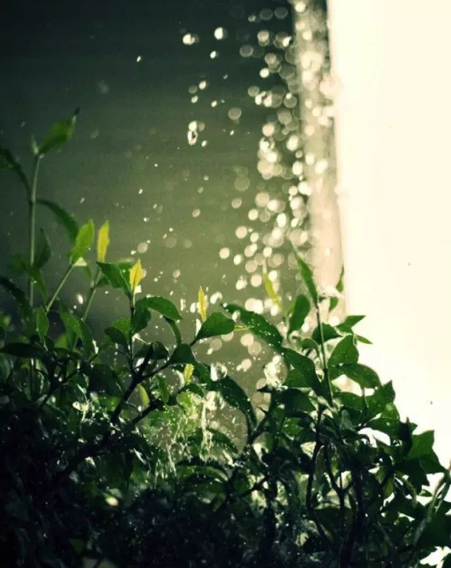 经常听人说湿气重到底湿气是什么,感觉自己湿气重湿气到底在哪里