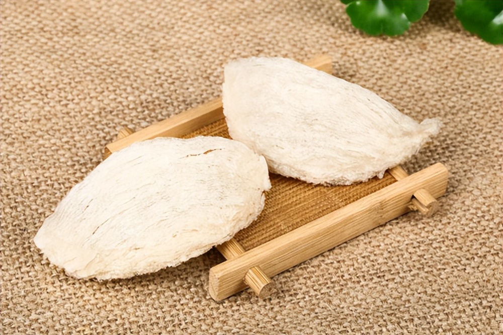 燕窝加工技术培训,燕窝入门自学教程