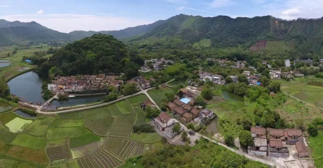 超美味肇庆吃出致富新路径,舌尖上的肇庆特色美食