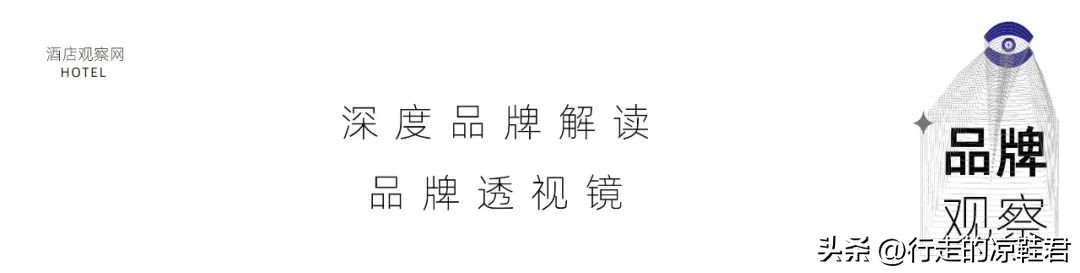 途牛2024年经营情况,途牛业绩