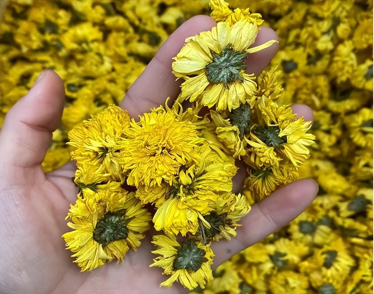 上了年纪哪些食物要少吃,上了年纪需要特意喝药防范疾病吗