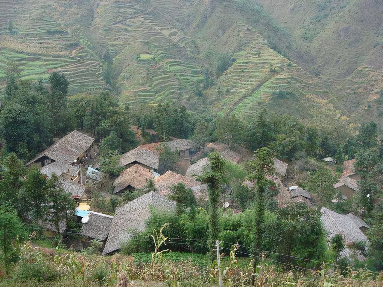 沈万三后代南京祭祖,沈万三后代现住何处