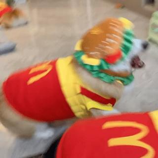 热门微信表情包收藏,微信那些可爱的表情包