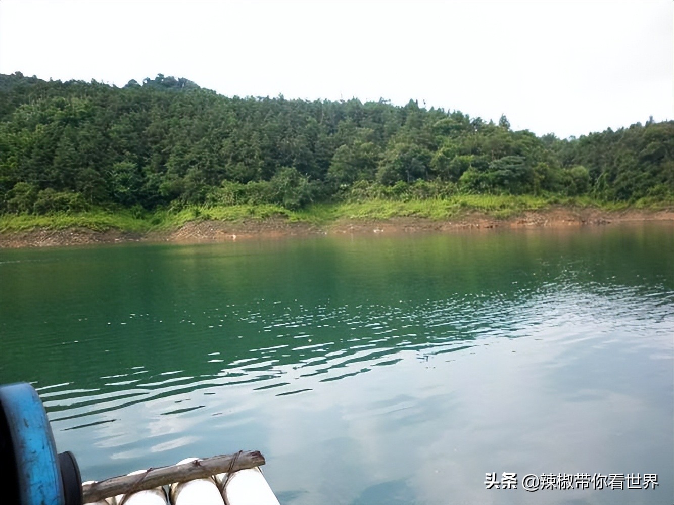 海岸线：邂逅*江阳**——感受这座慢节奏小城文化底蕴感悟人文之美