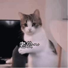 表情包美女拿东西,花钱买表情包的女生