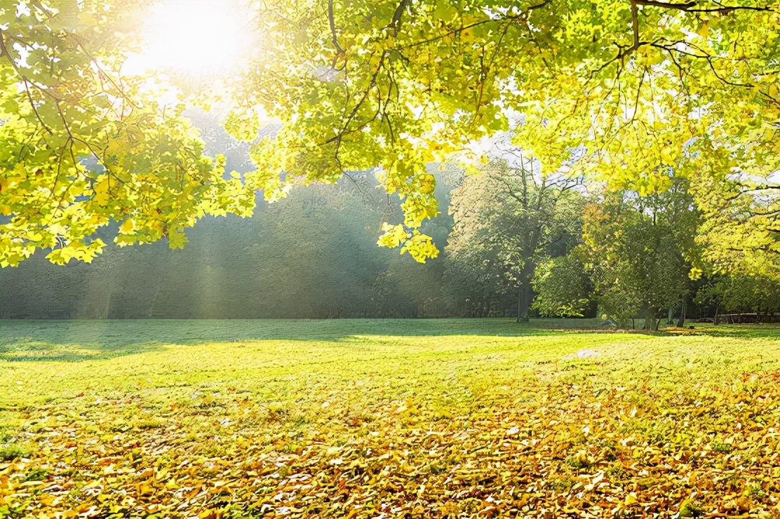 12岁男孩胰岛素高是什么原因,年轻人打胰岛素病情严重吗