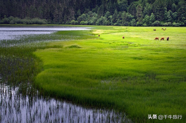 云南10个神奇景点攻略,云南丽江打卡必去景点