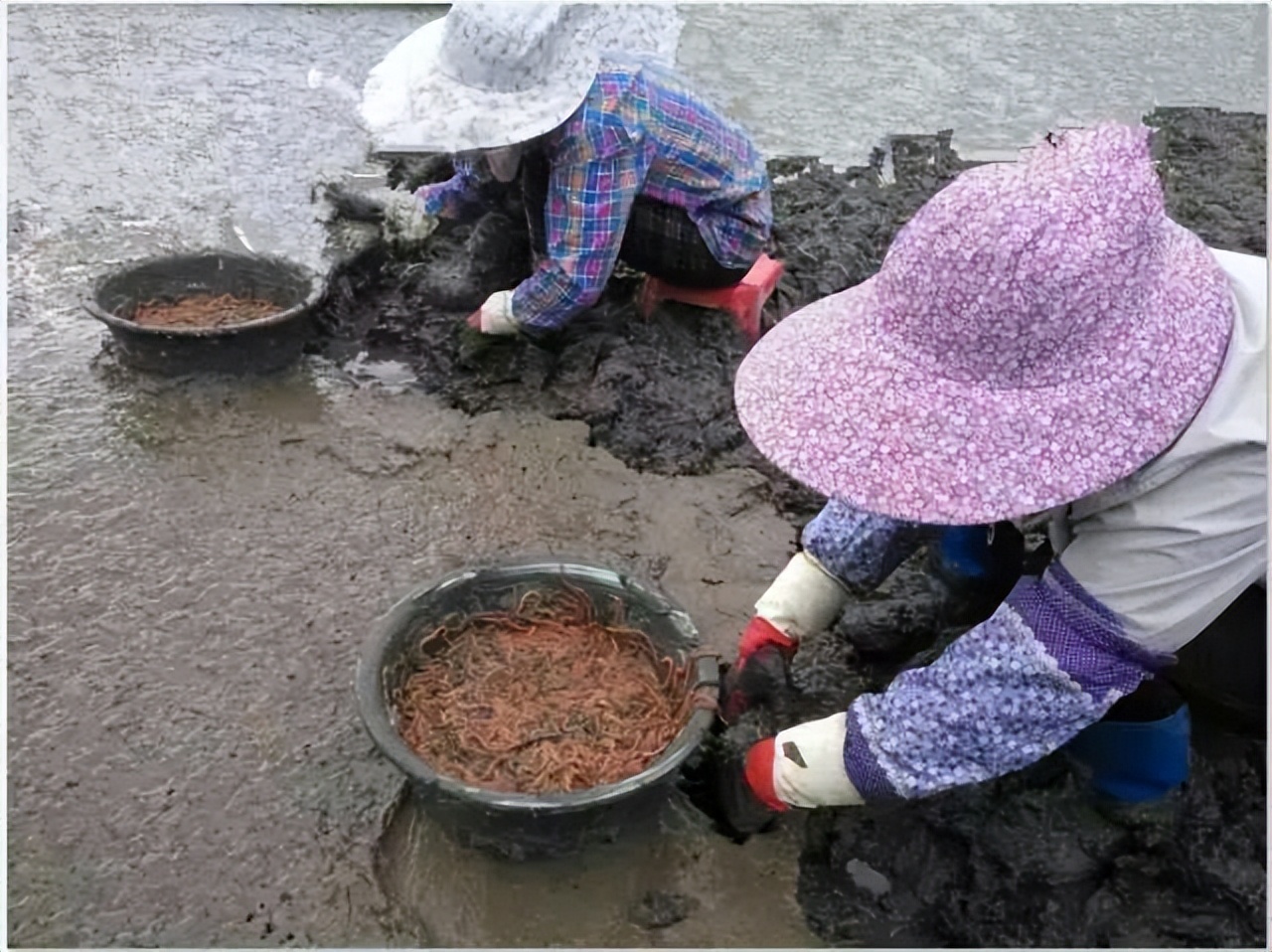 海水养殖产业发展现状调查,中国海水养殖业的发展历程