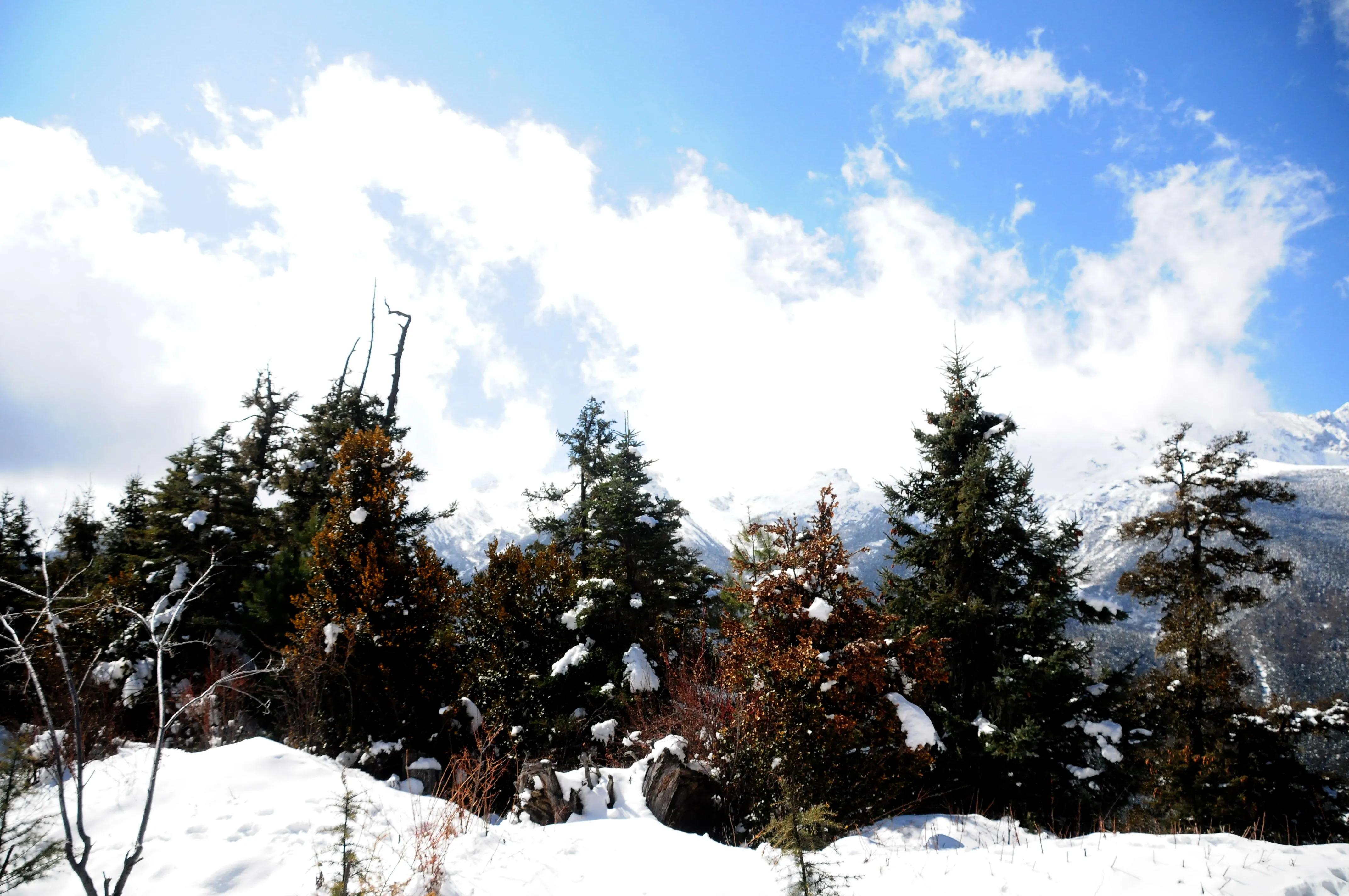 雪泥鸿爪苏轼原文赏析,雪泥鸿爪诗词