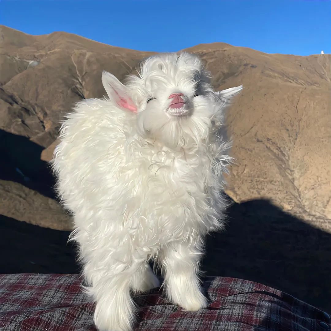 高级小众背景图片图集,小众背景图治愈丧