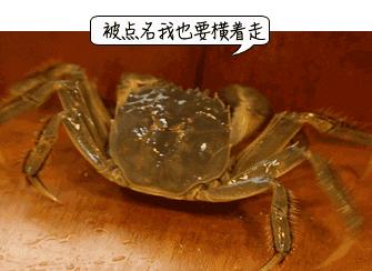 一条鱼引发的惨剧,一条鱼引发的悲剧8死13伤