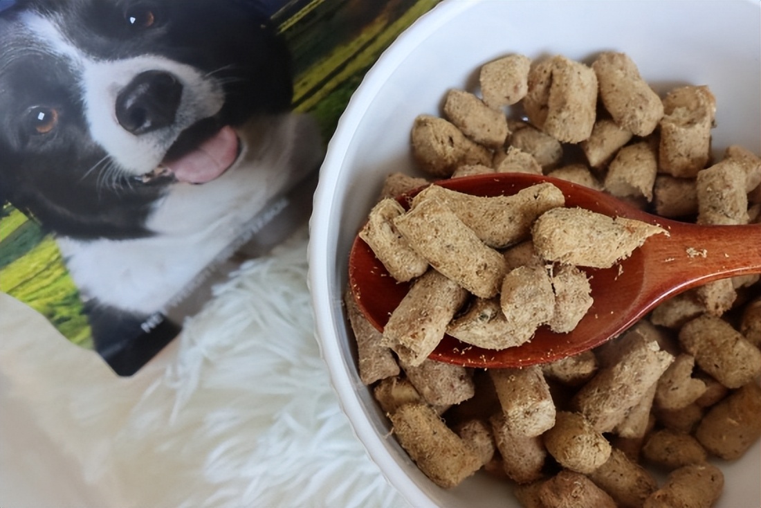 新西兰k9怎么辨别真假,新西兰k9冻干临期