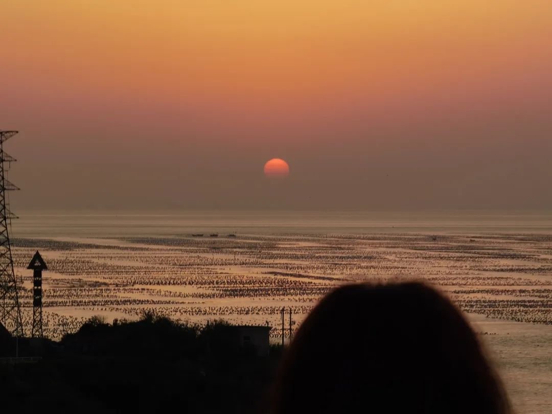 鍔犳补鍙韩鍏ぇ鍏嶈垂鏈嶅姟,鍘诲姞娌圭珯鍔犳补閮芥湁鍝簺鍏嶈垂鏈嶅姟
