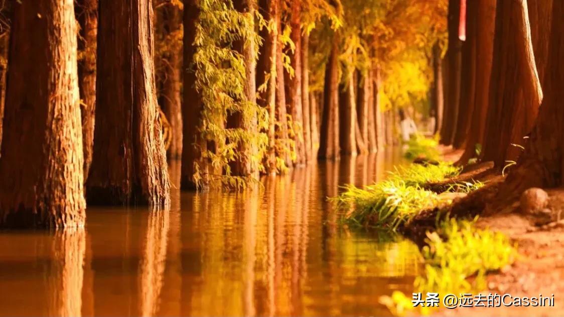 知乎成了编乎，微博成了歪博，头条还能坚守的住吗？