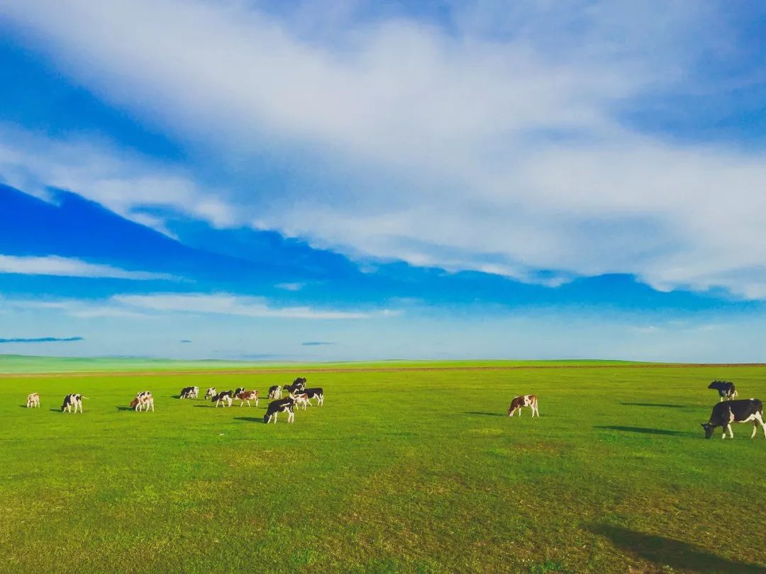 良心推荐夏日风光绝美的避暑胜地,夏季避暑胜地推荐4天
