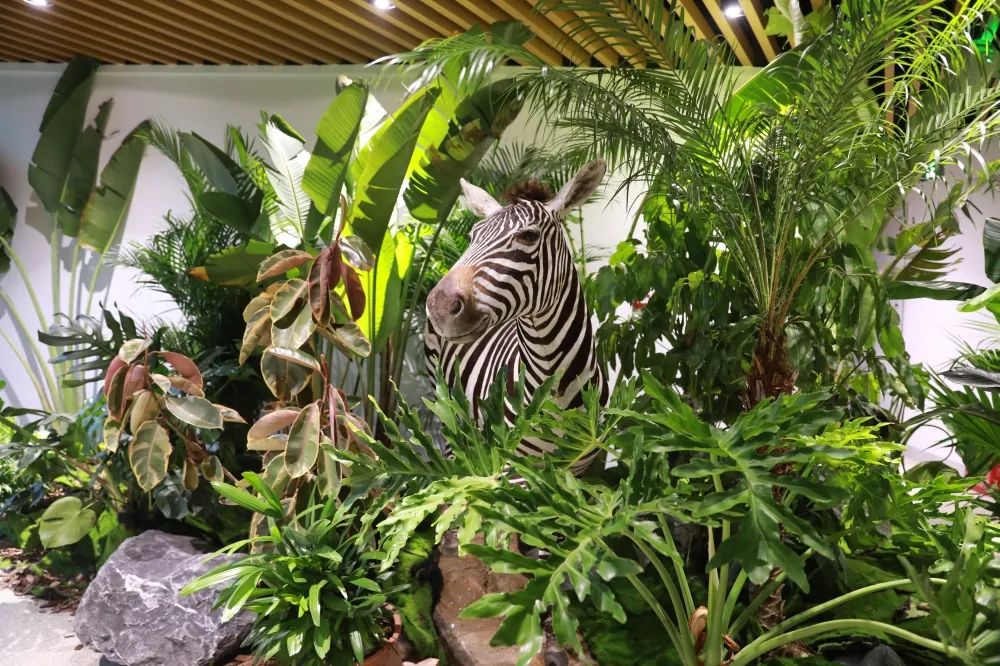 天府农博游玩心情,天府农业博览园一日游