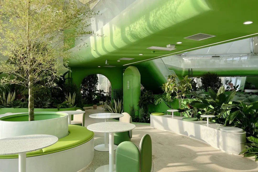 衡水园博园改造,衡水湖改造工程