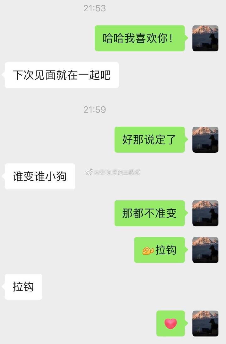 我喜欢你表白搞笑的聊天记录,我喜欢你搞笑的聊天记录