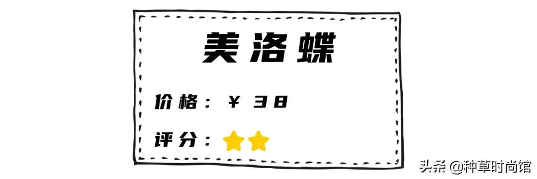 全网爆火的6条加绒黑丝测评，帮你避雷