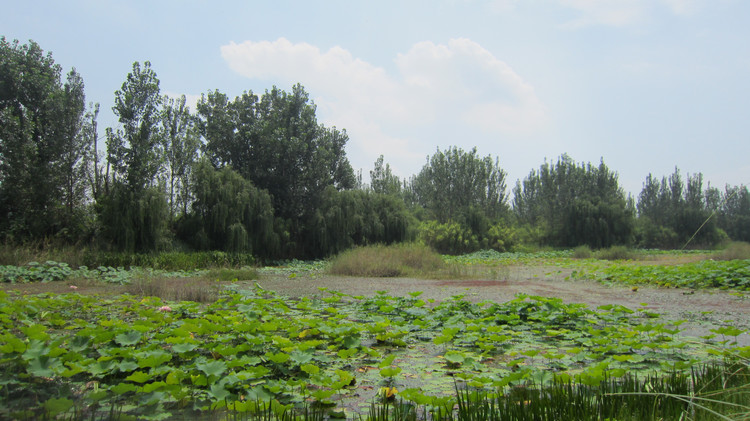 西昌邛海环湖自驾游攻略,川西旅游攻略自驾游西昌出发