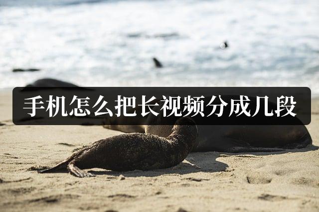手机怎么把长视频分成几段？2种经济实用的解决办法