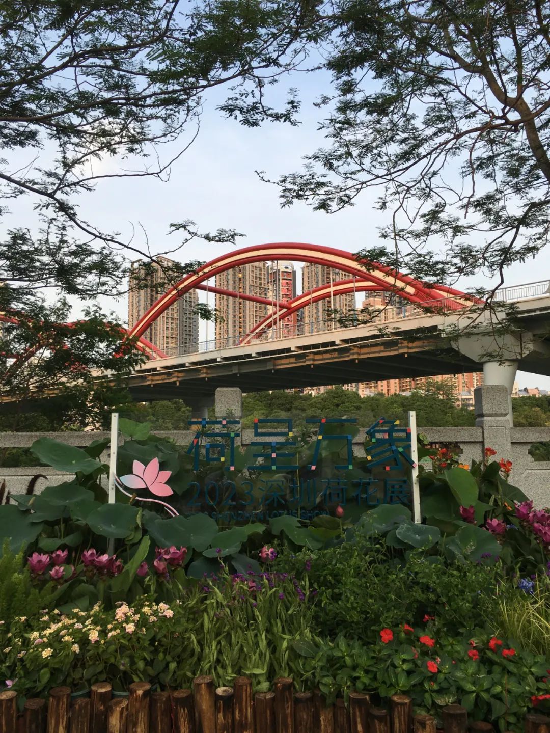 《旭光骑行深圳》第35站——罗湖区笋岗街道