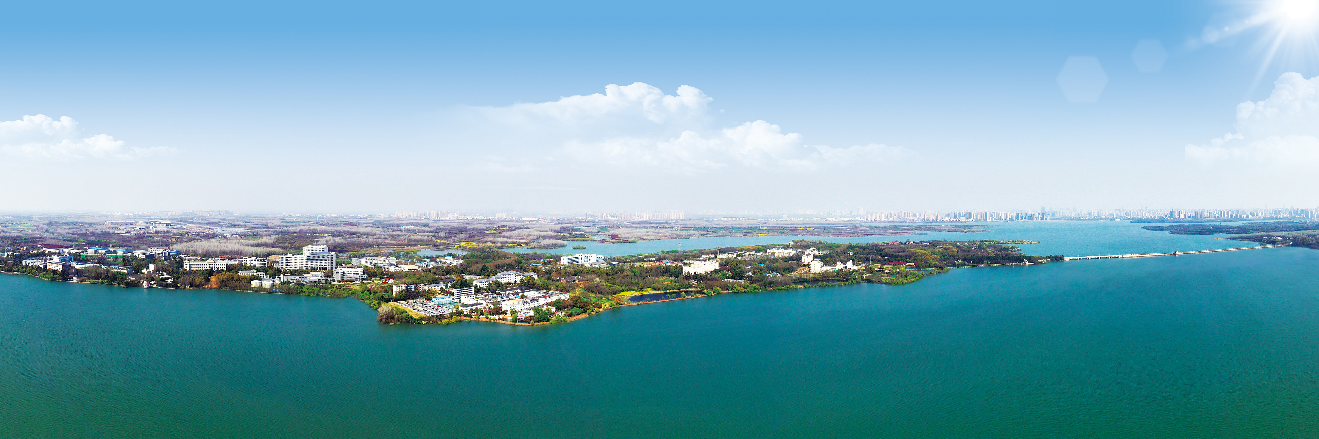 合肥和石家庄哪个城市比较好,合肥最有潜力的省会