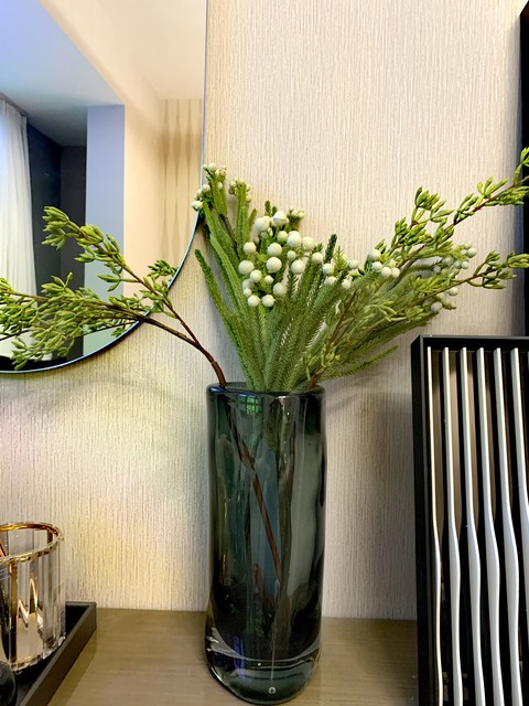 家里养富贵竹放哪个位置好,富贵竹摆放在家中什么地方最旺财