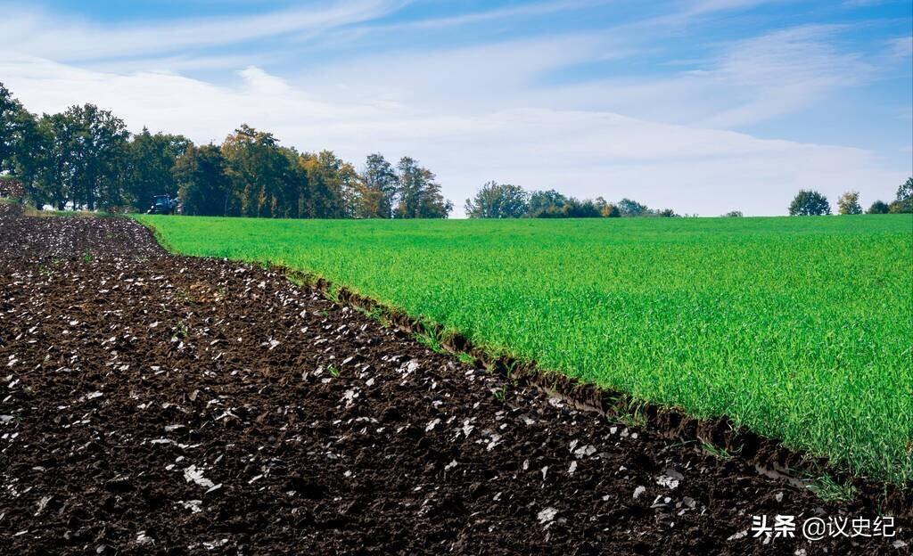 日本人在山东租地1500亩闲置5年,日本人在山东租1500亩地干啥用