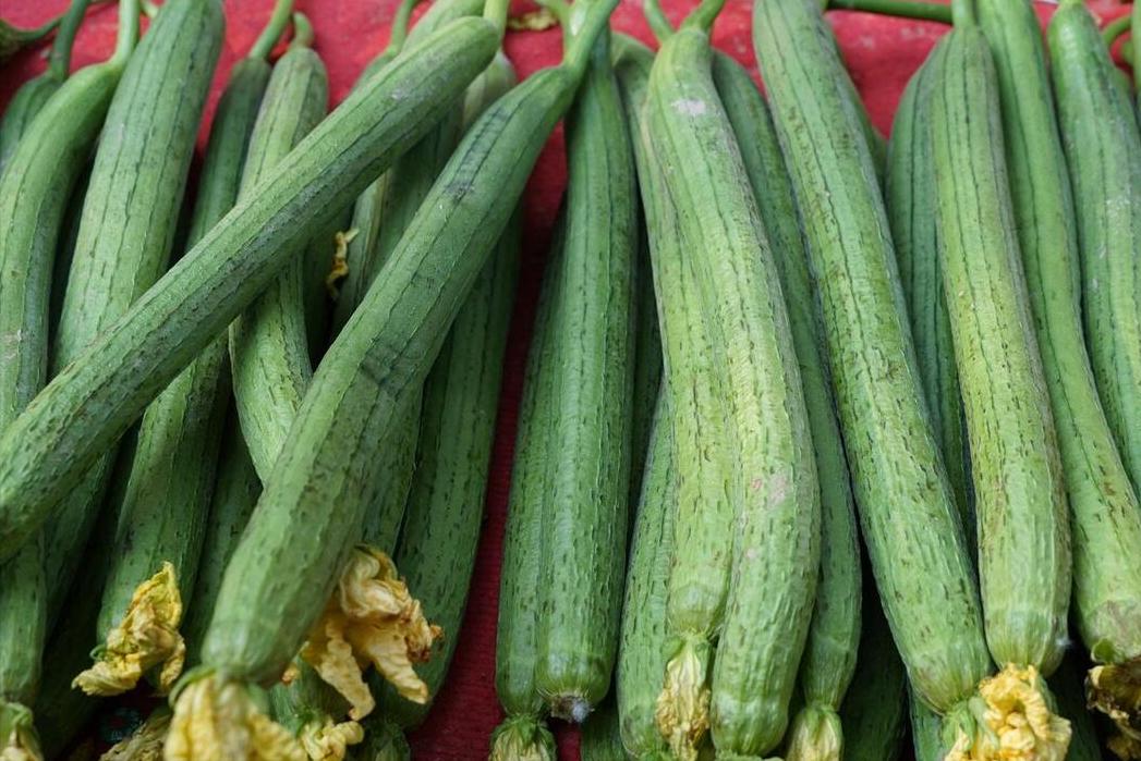 2023三伏艾灸时间表,2020三伏时间表三伏必备知识