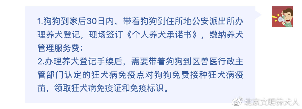 大型犬养犬证怎么办理,文明养犬给爱犬一个合法的身份