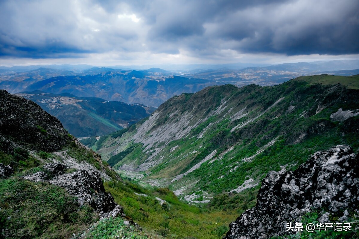 金钱可以买来人心却买不来,金钱真的可以收买感情吗