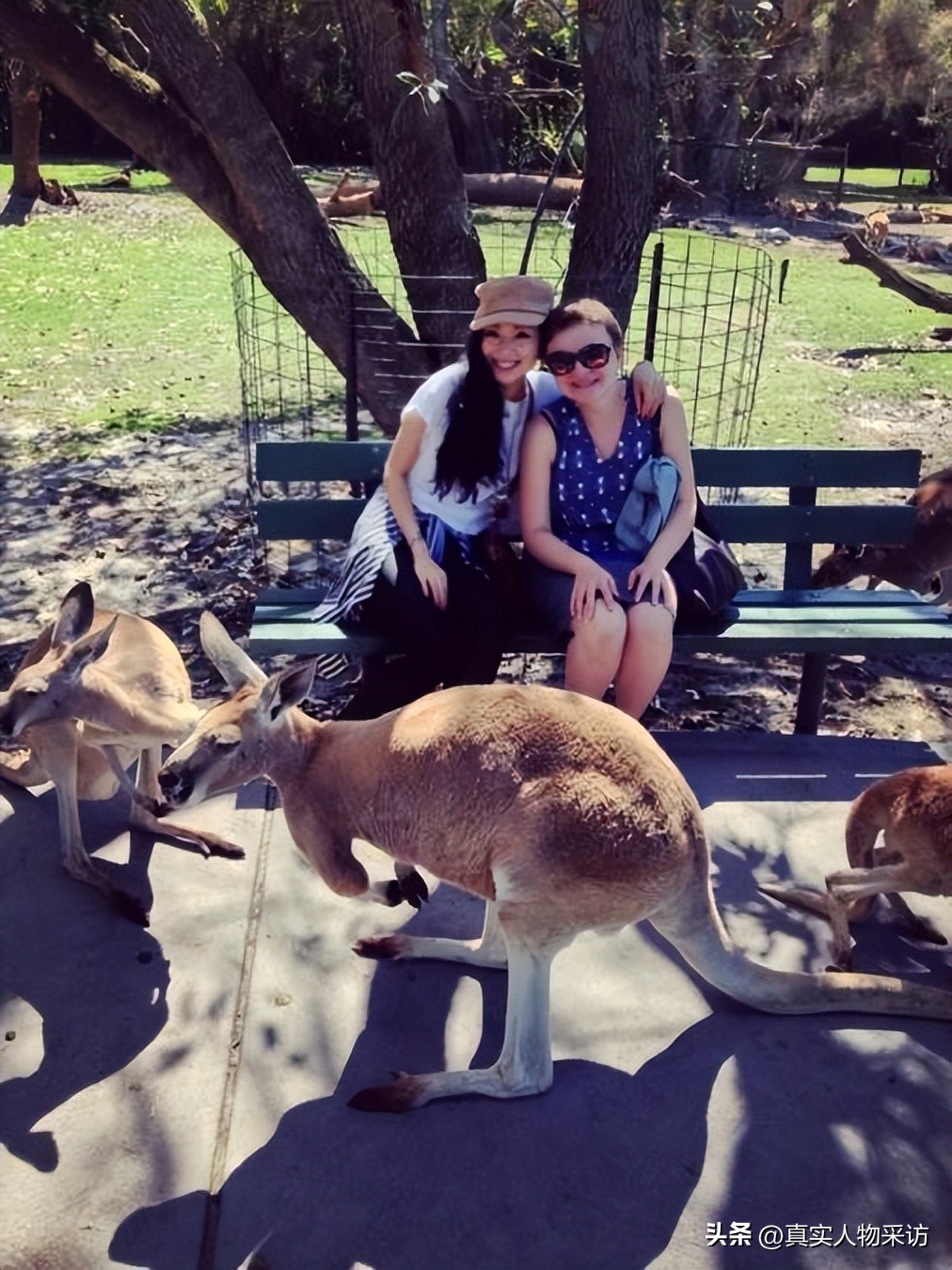 我，做空姐遇奇葩无数，有情侣上机就舌吻，还有想去厕所激情的