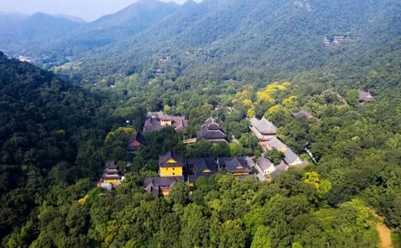 杭州旅游必去十大景点推荐一下,杭州看花好去处杭州网红景点