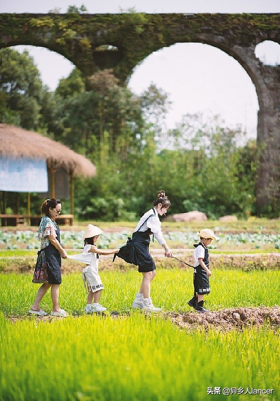 家庭农场：是否能成为乡村致富的新风口？