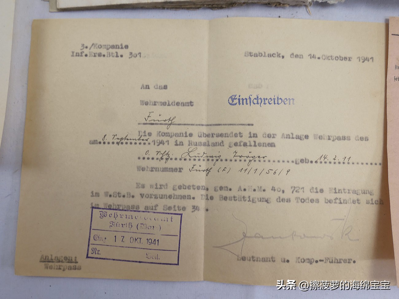 二战时德国军人的肩章,二战德国兵种领章