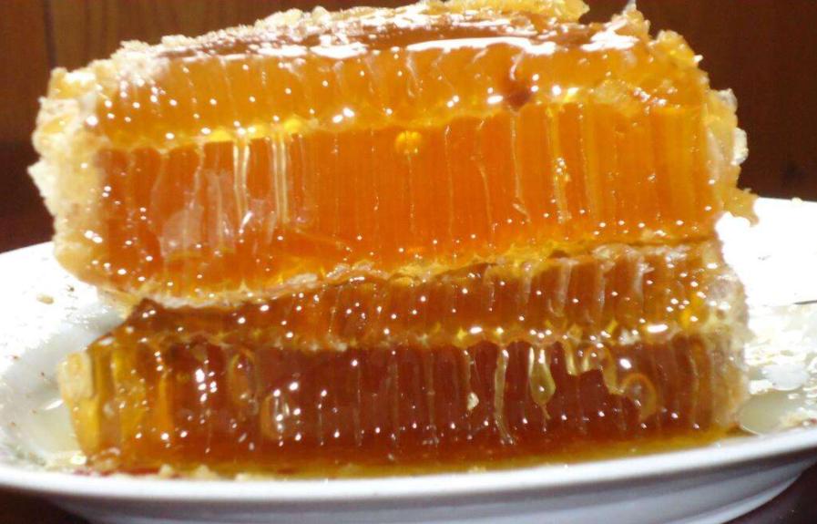 羊胎素斯琴高娃袁立,袁立斯琴高娃羊胎素广告