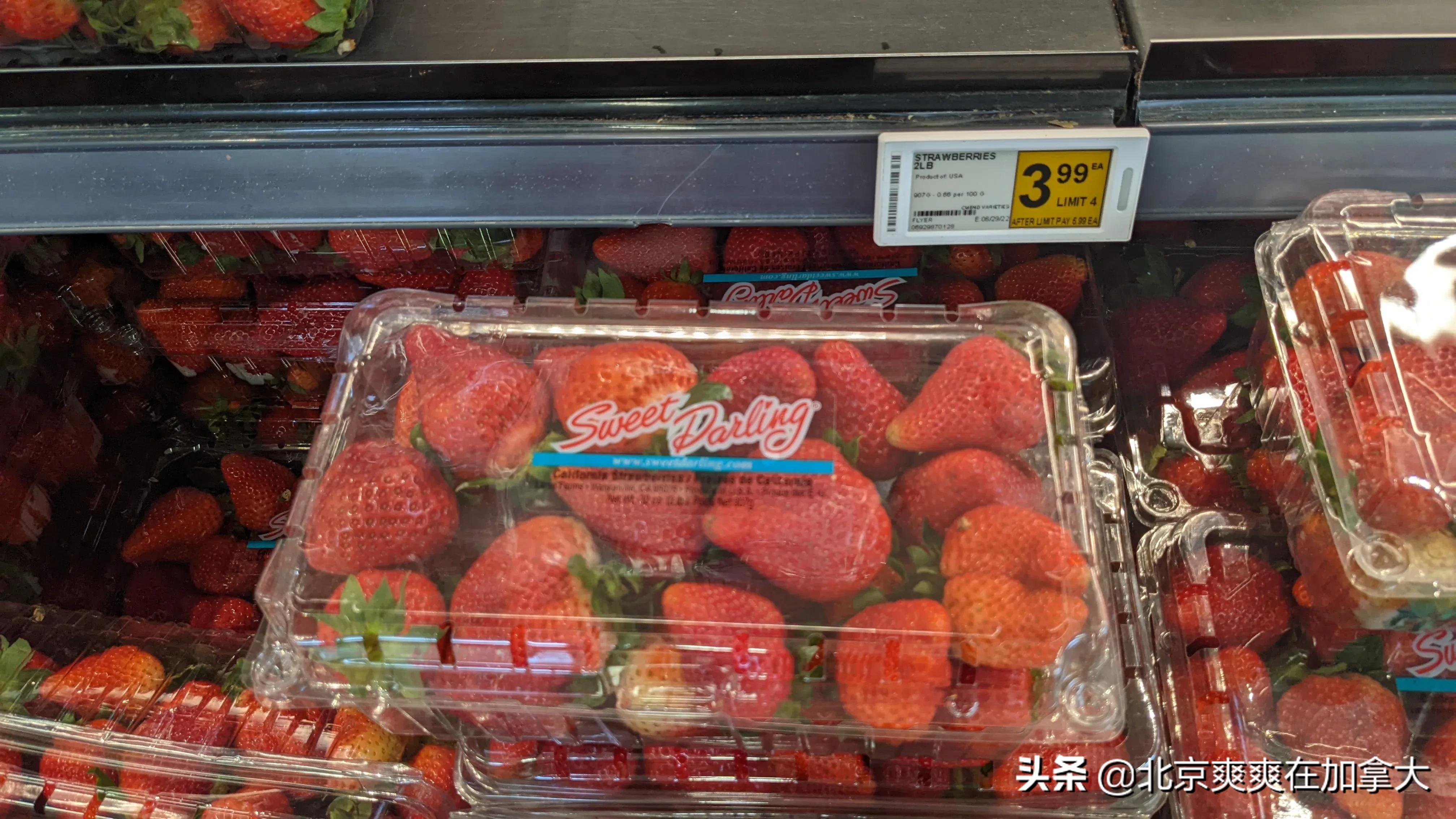 加拿大多伦多华人超市物价,加拿大城市物价排行