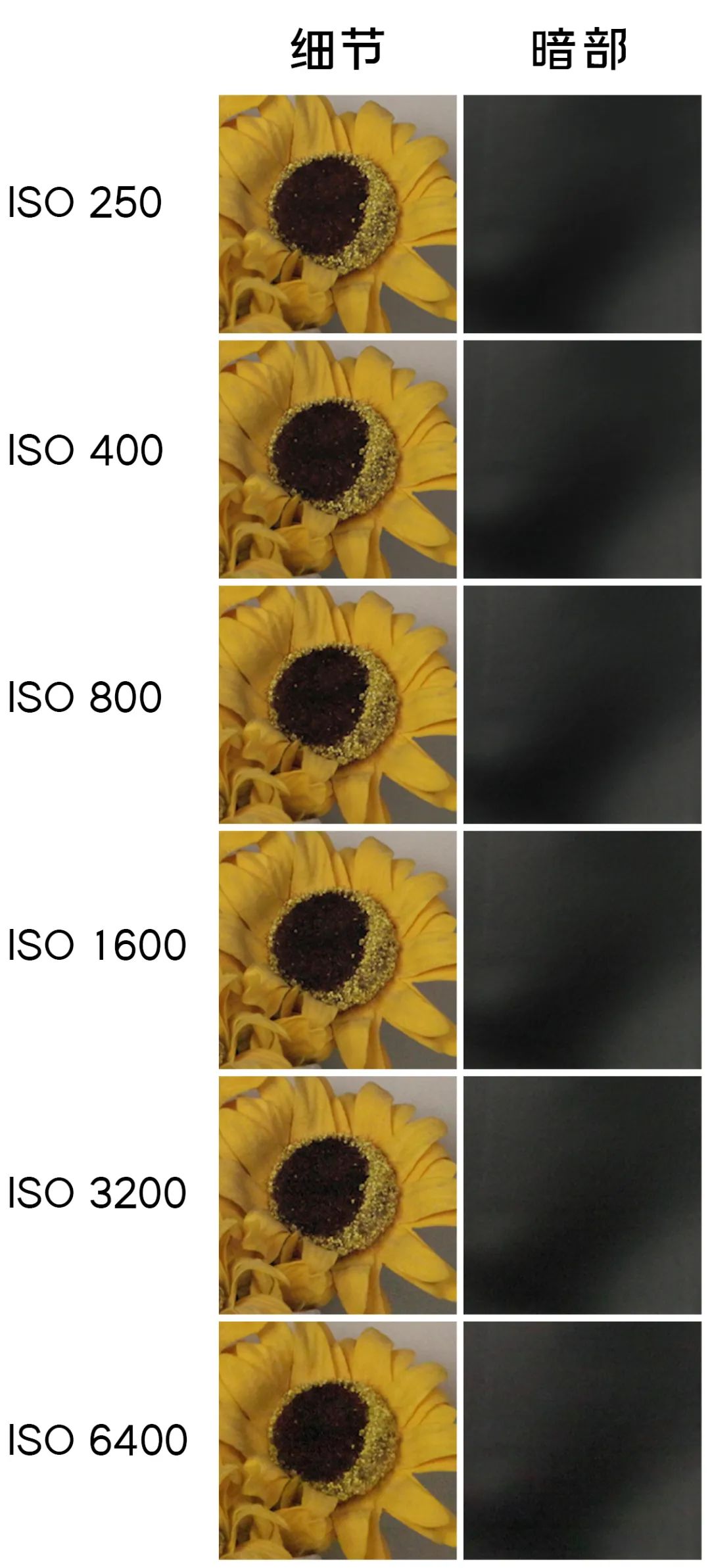 佳能eosr5c被曝,佳能eosr5c最新消息