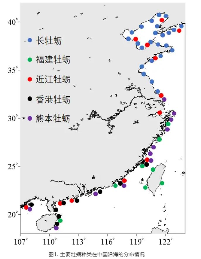 为什么国外生蚝那么贵,进口的生蚝价格