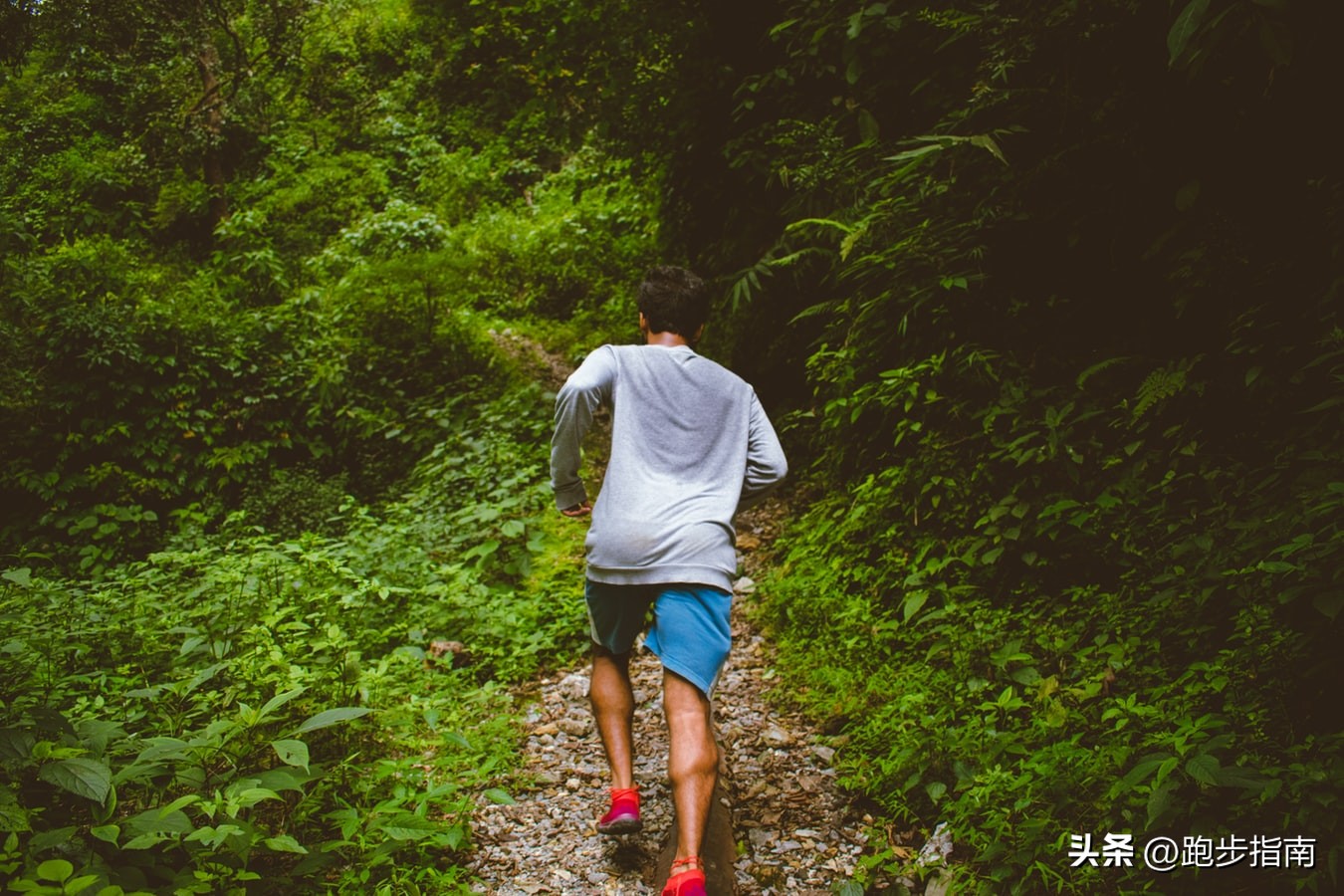 日本人跑步姿势是怎么样,日本超慢跑的正确姿势