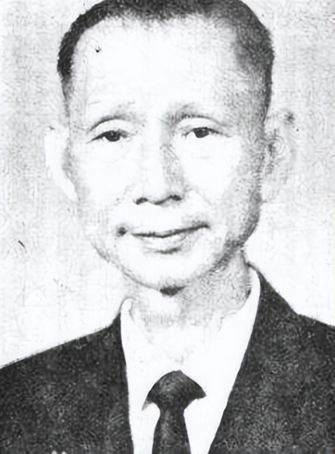 游击队政委要枪毙逃兵，陈毅大怒：你跟*动反**派有何区别