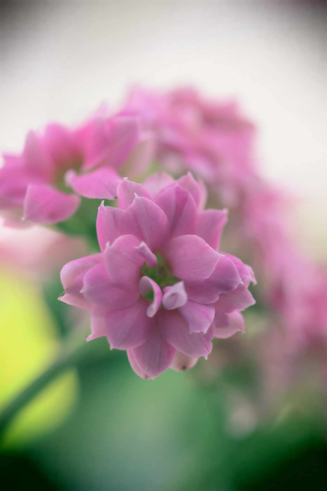 佳能eosr50深度评测,佳能eosr50优缺点